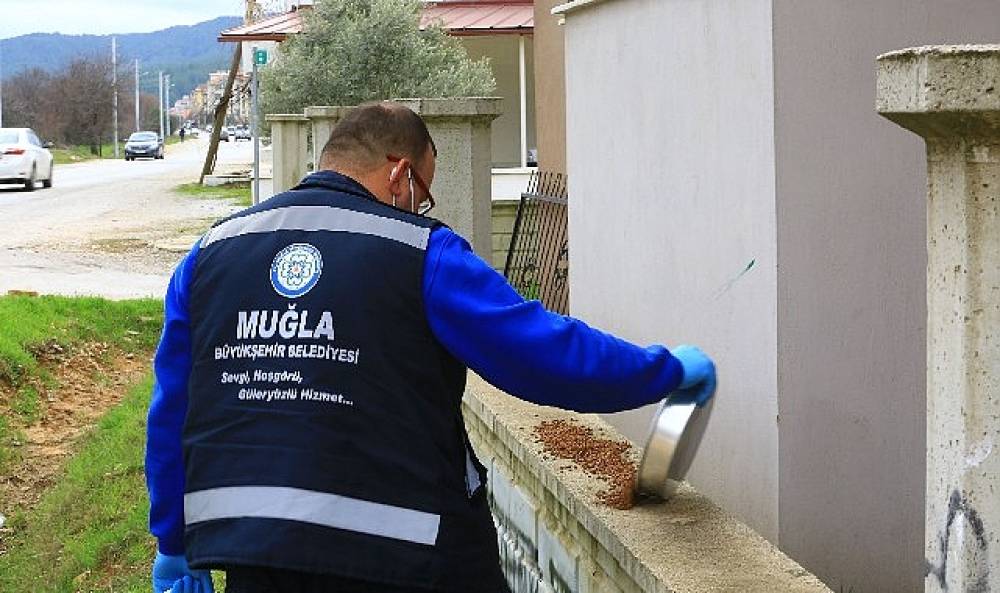 B&uuml;y&uuml;kşehir candostlar i&ccedil;in mama &uuml;retimine devam ediyor