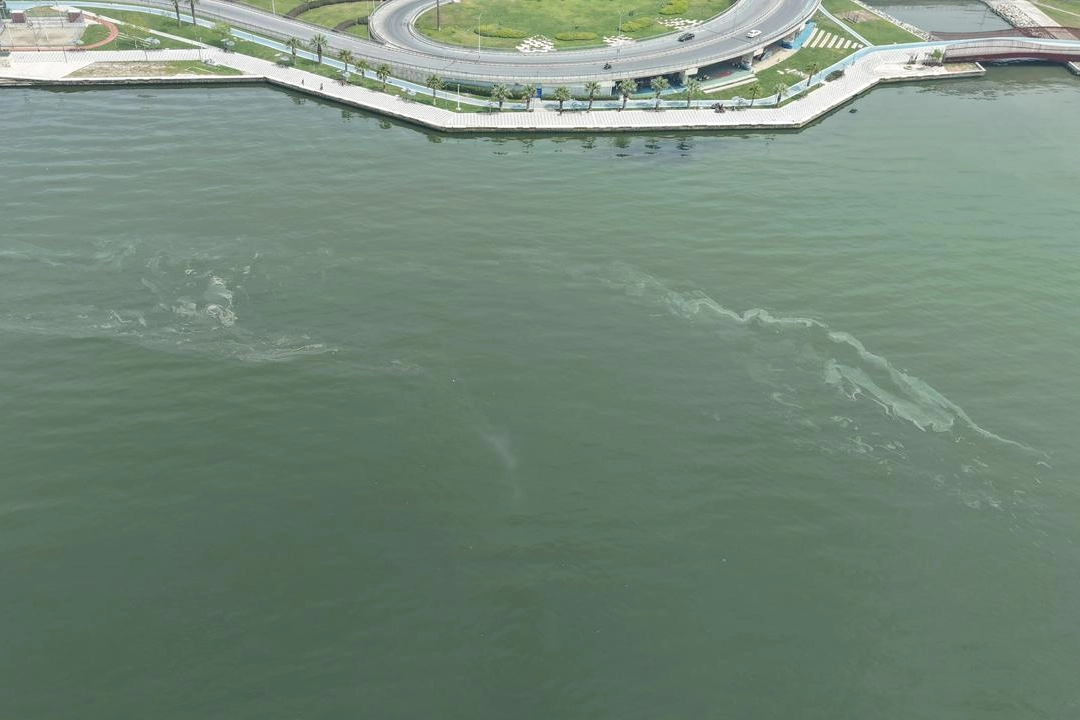 İzmir K&ouml;rfezi&rsquo;nde kirlilikte 10'uncu tespit