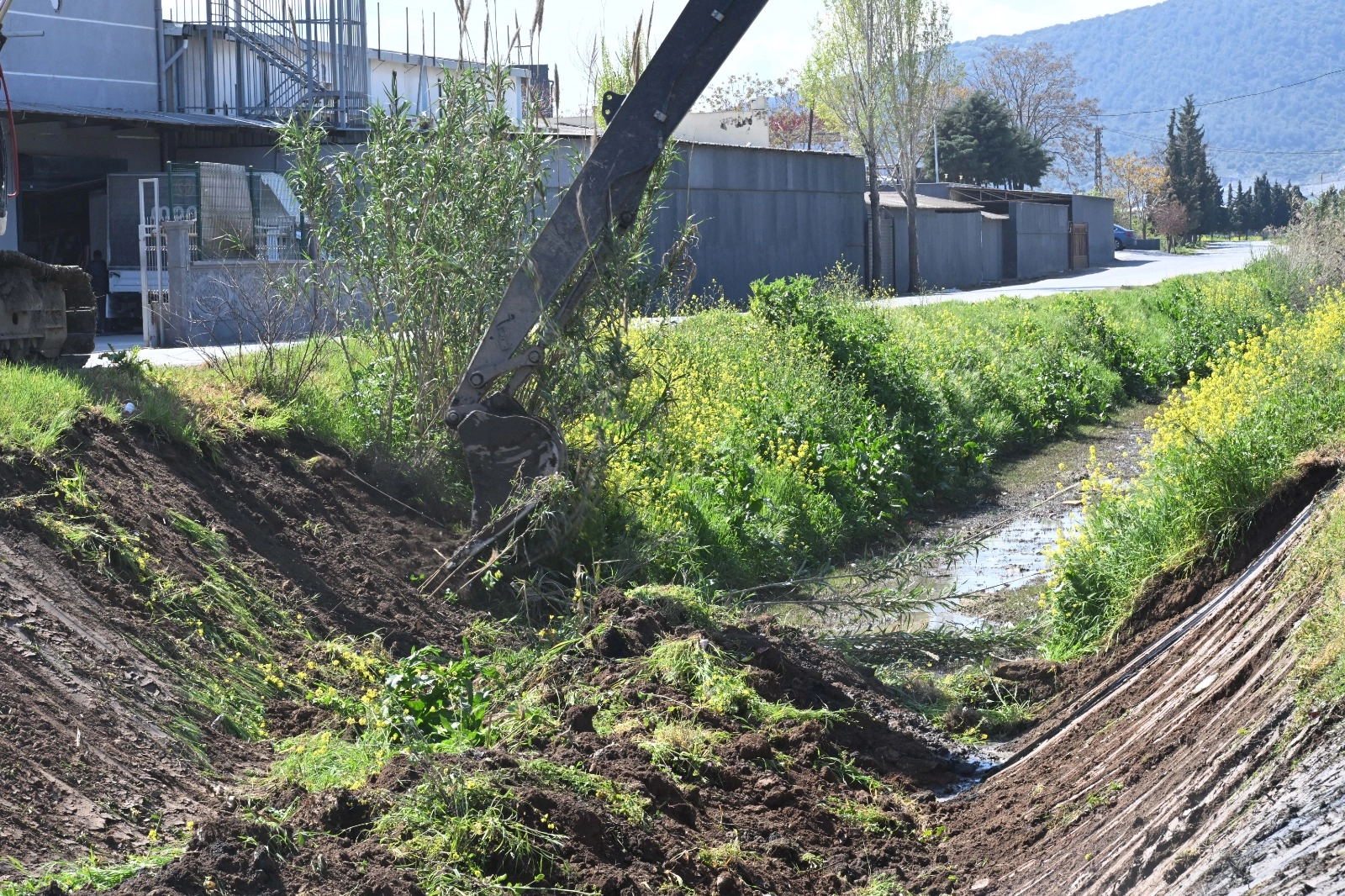 Manisa Akhisar&rsquo;da dere temizliği